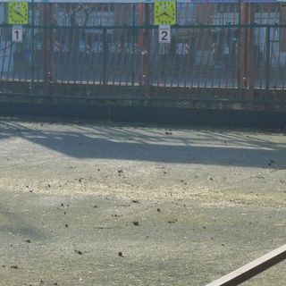 A Parella, aperto il bando per le bocciofile di via Carrera e corso Telesio