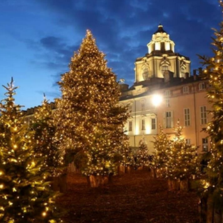 boschetto di Natale con alberi e casette