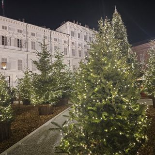 Immagine di archivio del bosco in piazzetta Reale
