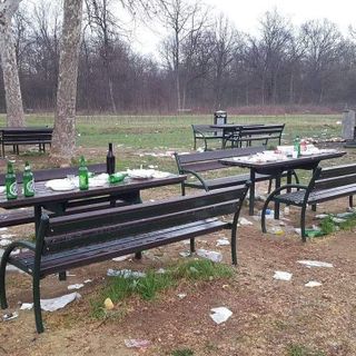 Nichelino, revocata temporaneamente l'ordinanza di divieto picnic nel Boschetto