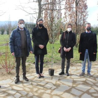 A Torino un bosco per le vittime del Covid, Appendino: “Non le dimentichiamo, ma ora si vaccini in fretta” [VIDEO]