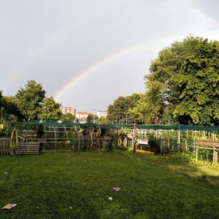 Barriera di Milano accoglie un bosco multifunzionale: "Sarà una fattoria didattica"