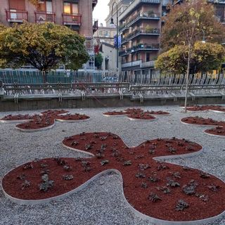 il bosco davanti a Palazzo Nuovo