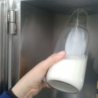 Immagine di repertorio