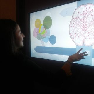 INTOtheBRAIN