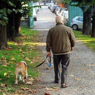 Via Po prima via Pet friendly in Italia: il 24 settembre arriva &quot;Bau Bau Street&quot;