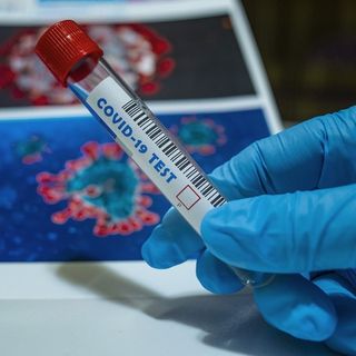 Covid, in Piemonte numeri sempre più rassicuranti: nessun nuovo decesso, 15 letti occupati in terapia intensiva