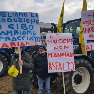 Variante alla statale 460, Coldiretti Piemonte: &quot;Un progetto devastante per l’agricoltura&quot;