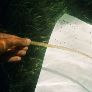 Al Castello di Rivoli, a fine settembre apre la mostra di Renato Leotta