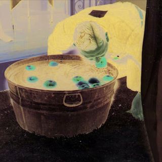 Al Museo della Frutta apre la mostra fotografica "Mele e pere" di Erik Kessel Al Museo della Frutta apre la mostra fotografica "Mele e pere" di Erik Kessel