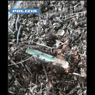 Nascondevano la droga nei boschi di Nichelino, arrestati per spaccio a Borgo Filadelfia