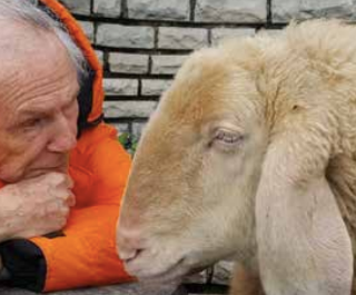 Al Maestro dell'animazione Bruno Bozzetto il Premio Stella della Mole Green