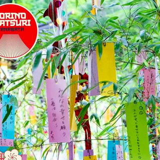 Torino Matsuri 2024: laboratori e spettacoli per celebrare l'estate giapponese