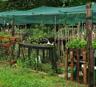 FARClimate: all'Orto Boschetto arriva il progetto agricolo contro la crisi climatica