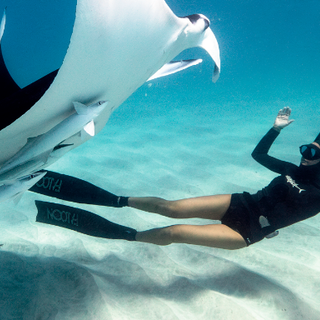 La magia dell'oceano sul grande schermo: il Cinema Massimo ospita la tappa torinese dell'Ocean Film Festival