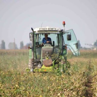 mezzo agricolo in azione