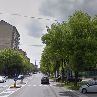 Alberi di corso Belgio, i temporali fanno rialzare la tensione tra cittadini e Comune: “Mobilitiamoci”