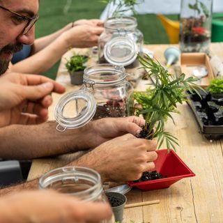 Rivoli sempre più green, in arrivo due eventi immersivi nella natura