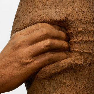 Da Giuseppe Penone a Precious Okoyomon: al Castello di Rivoli apre Mutuale Aid, l'arte in collaborazione con la natura