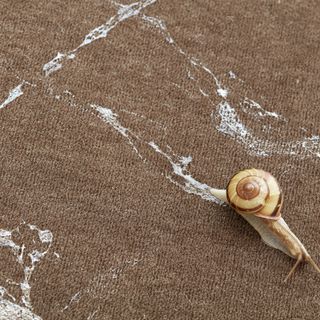 Castello di Rivoli: in autunno apre la mostra Mutual Aid tra arte e sostenibilità Castello di Rivoli: in autunno apre la mostra Mutual Aid tra arte e sostenibilità