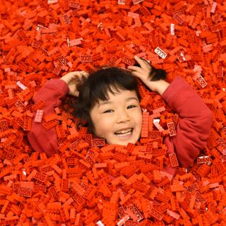 "Brick Live!" da domani alla Promotrice delle Belle Arti, per tutti i fans dei Lego