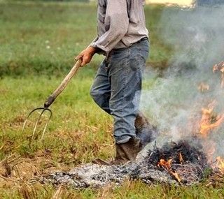Smog, Coldiretti: &quot;Urgente estendere a tutti i comuni del Piemonte la deroga di 30 giorni per abbruciamenti vegetali&quot;
