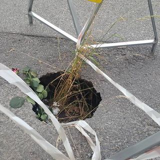 Chiuse due profonde buche sulle strade della Circoscrizione 4 a Torino