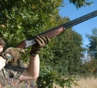 Caccia: Consiglio di Stato e Corte Costituzionale danno ragione alla Regione Piemonte sulla riduzione delle specie cacciabili e sulla riforma di ATC e CA