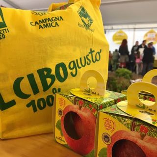 Primule e violette colorano i mercati gialli del circuito di Campagna Amica
