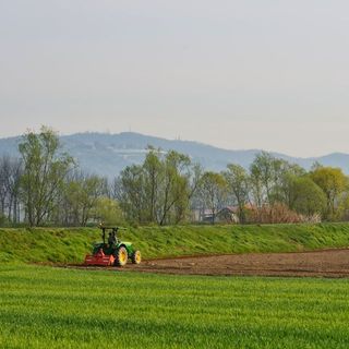L'emergenza coronavirus fa accelerare la svolta ambientale di Moncalieri: &quot;Meno cemento, più verde&quot;