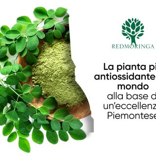 L'azienda torinese che riporta la Moringa al suo antico splendore