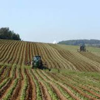 Regione, 21 milioni di euro in più per l’agricoltura piemontese