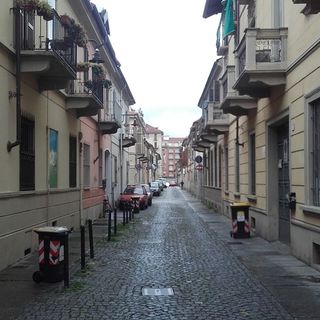 “Alberi e non fioriere per Campidoglio e Basso San Donato”