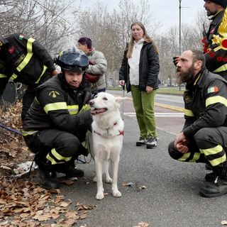 La cagnolina meticcia finisce lungo la Dora e non riesce a risalire la sponda: i vigili del fuoco la portano in salvo [FOTO E VIDEO]