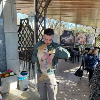 Cane sollevato dal padrone