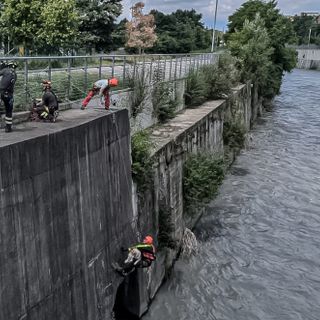 Cane finisce nelle acque della Dora, portato in salvo dai Vigili del fuoco
