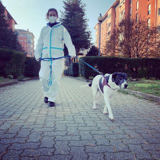 sos passeggiata cani