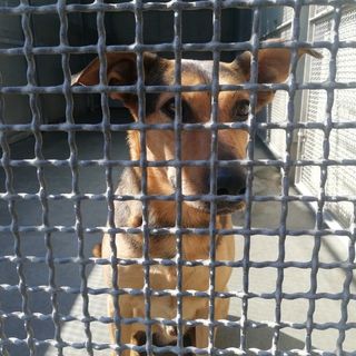 immagine di repertorio