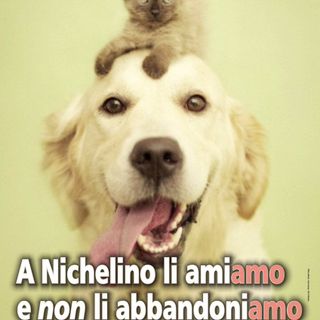 Nichelino, il bilancio 2017 del servizio tutela cani