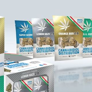 Cannabidiol Distribution, una realtà economica ai vertici della distribuzione della Cannabis light in Italia