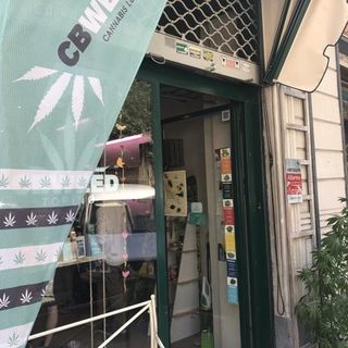 “Appendino tuteli i commercianti che vendono cannabis legale”: la richiesta dei consiglieri del M5S alla sindaca