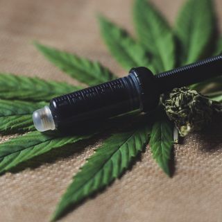 Cannabis legale : comprarla online nasconde delle insidie?