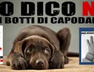 Botti di Capodanno, la mappa dei Comuni torinesi che li hanno vietati