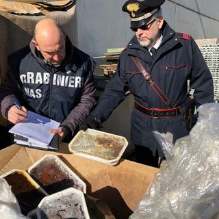 Alimenti scaduti e invasi dai parassiti: sigilli a un intero capannone pieno di cibo [FOTO e VIDEO]