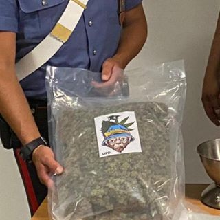 Collegno, sfugge all'alt con un chilo di marijuana in auto, ma si scontra contro un'altra vettura
