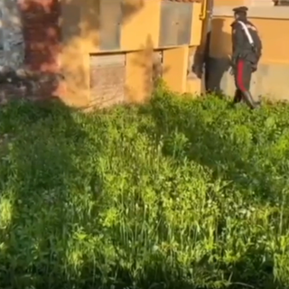 Cocaina a pochi passi dalla Maratona, nonostante il lockdown: in manette due giovani pusher [VIDEO]