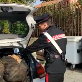 droga sequestrata dai carabinieri
