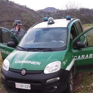 carabinieri della forestale - foto di repertorio