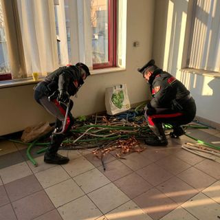 Tentano di rubare 150 kg di rame alla Terna, arrestati dai carabinieri [VIDEO]