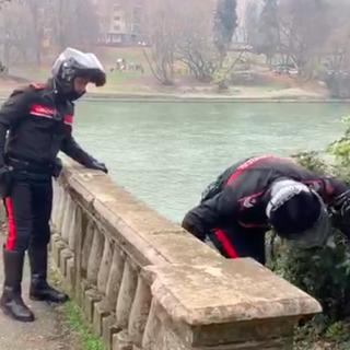 Ragazza aggredita e rapinata dell’iPhone al Valentino: il malvivente nascosto dietro un cespuglio